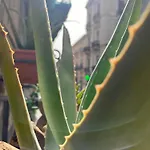 I Lumi 4* Catânia